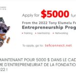 Programme d'entrepreneuriat de la Fondation Tony Elumelu, édition 2022