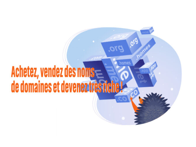 Comment gagner de l'argent avec la vente de domaines en France