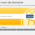 Nom de domaine gratuit pendant un an chez Spiderhoster.com !