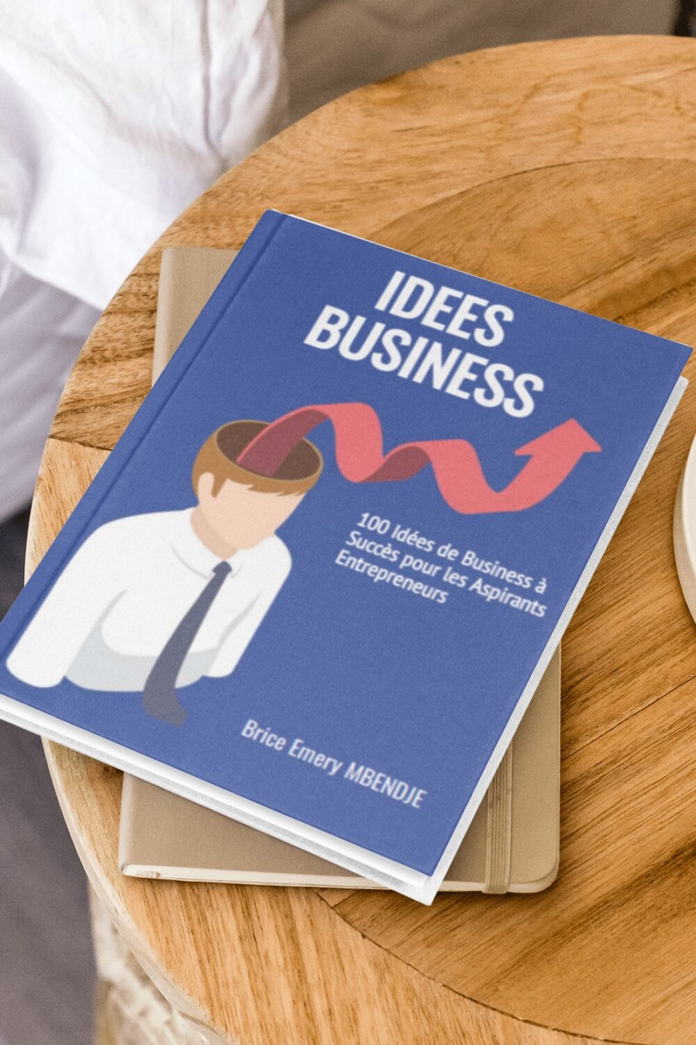100 Idées de Business à Succès pour les Aspirants Entrepreneurs - eBook – Image 2